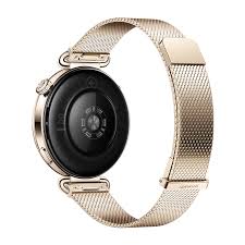Huawei Watch GT 6 41mm (KSU-B19)