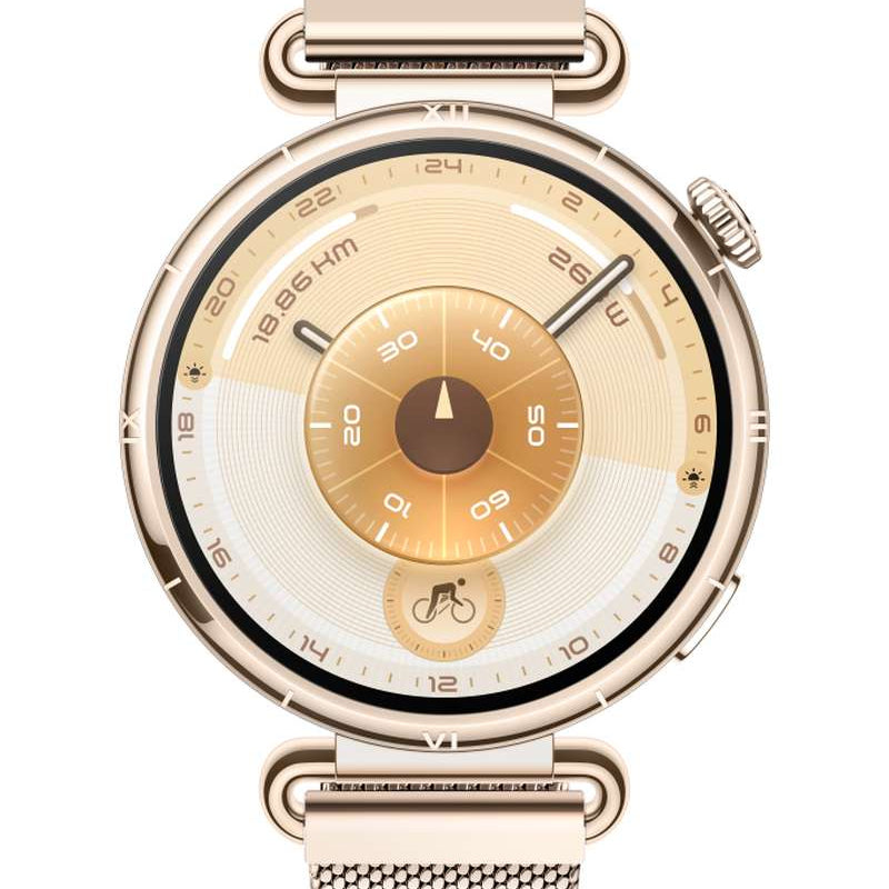 Huawei Watch GT 6 41mm (KSU-B19)