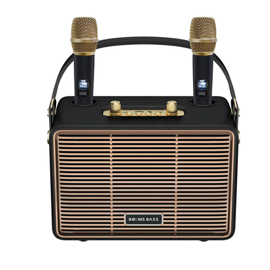 M4201+ Wireless Speaker