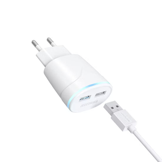 KINGLEEN C830E Complete Charger