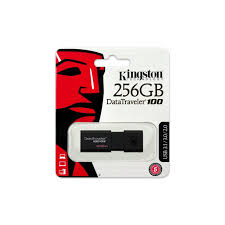Kingston Flash Memory 256GB