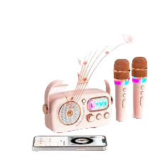Digit Plus MD-DP-D10 Karaoke Speaker