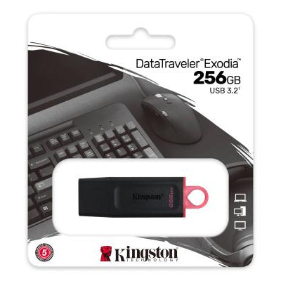 Kingston USB Flash Drive 256GB – DTX